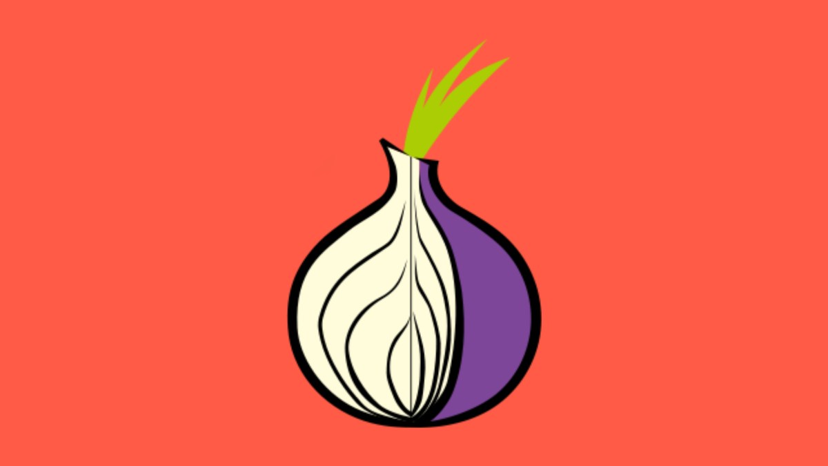 Le logo de Tor. // Source : Montage Numerama / Tor Le logo de Tor. // Source : Montage Numerama / Tor
