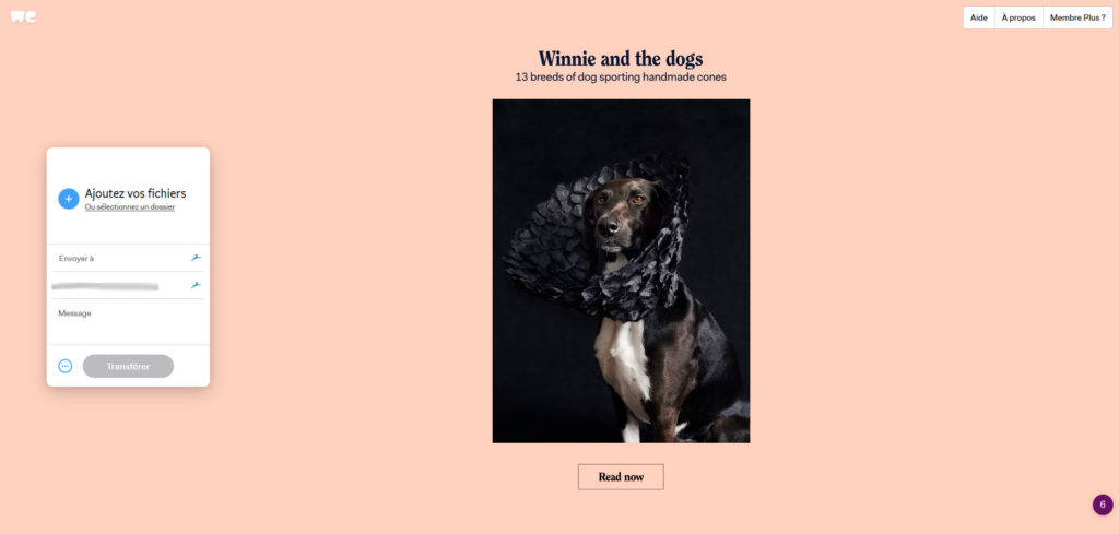 WeTransfer WeTransfer