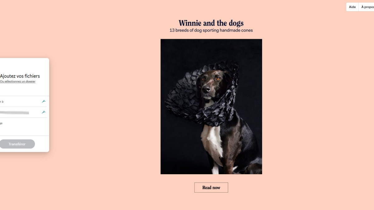 WeTransfer WeTransfer