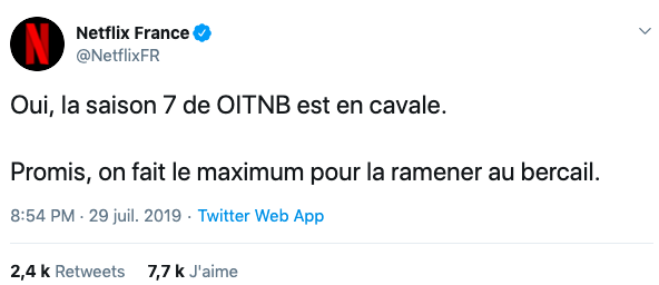Capture du 29 juillet 2019 // Source : Twitter/Netflix