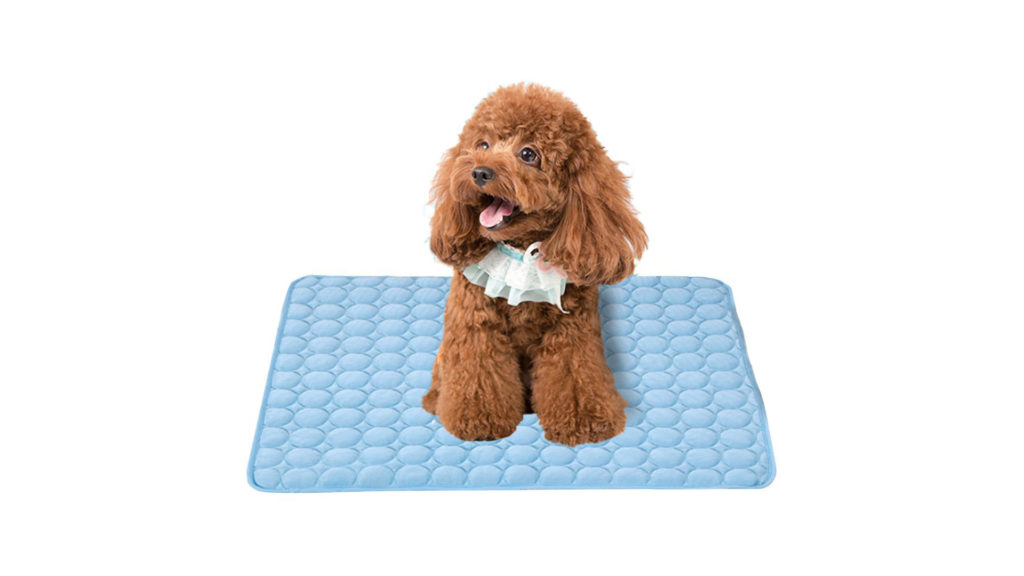chienchien chienchien