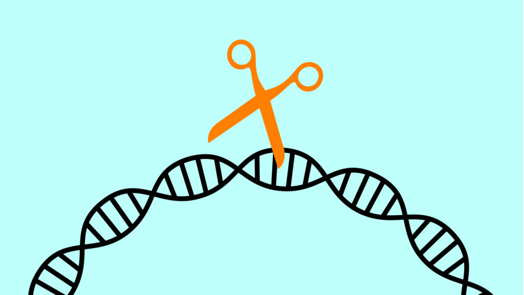 Le ciseau génétique CRISPR. // Source : Pixabay, Montage Numerama Le ciseau génétique CRISPR. // Source : Pixabay, Montage Numerama