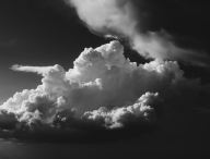 Daniel Páscoa via Unsplash.