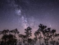 Un essaim d'étoiles filantes. // Source : Flickr/CC/Diana Robinson (photo recadrée)