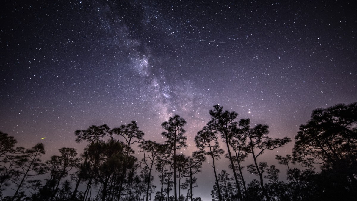 Un essaim d'étoiles filantes. // Source : Flickr/CC/Diana Robinson (photo recadrée) Un essaim d'étoiles filantes. // Source : Flickr/CC/Diana Robinson (photo recadrée)