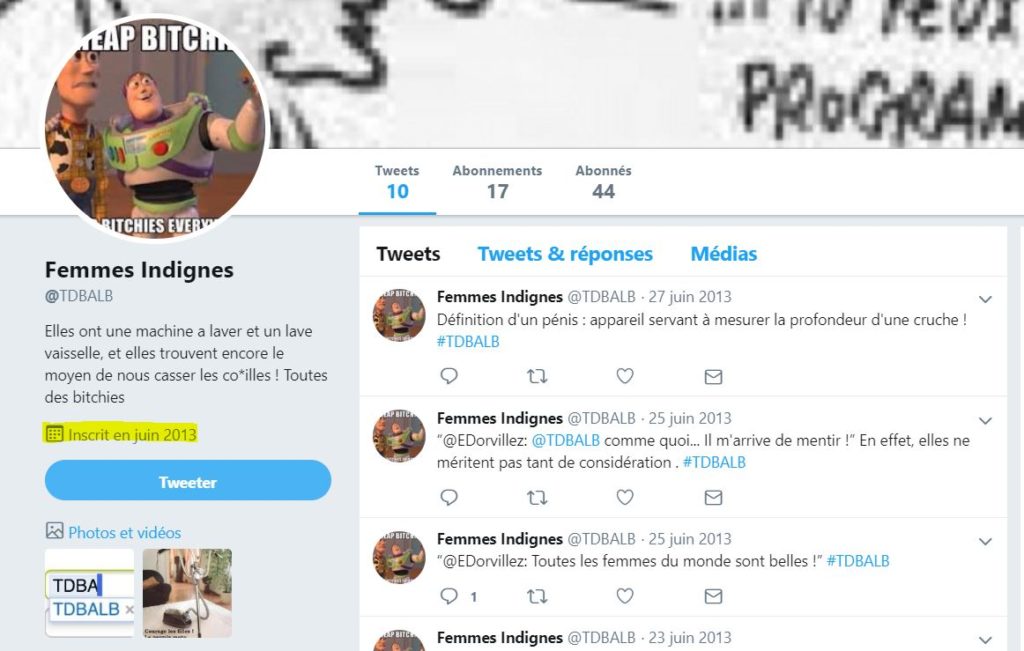 Cette page Twitter de secours date de 2013. // Source : Capture d'écran Twitter / Numerama Cette page Twitter de secours date de 2013. // Source : Capture d'écran Twitter / Numerama