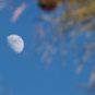 La Lune. // Source : Pxhere/CC0 Domaine public (photo recadrée) La Lune. // Source : Pxhere/CC0 Domaine public (photo recadrée)