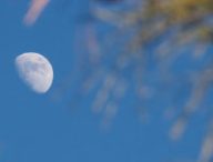 La Lune. // Source : Pxhere/CC0 Domaine public (photo recadrée)