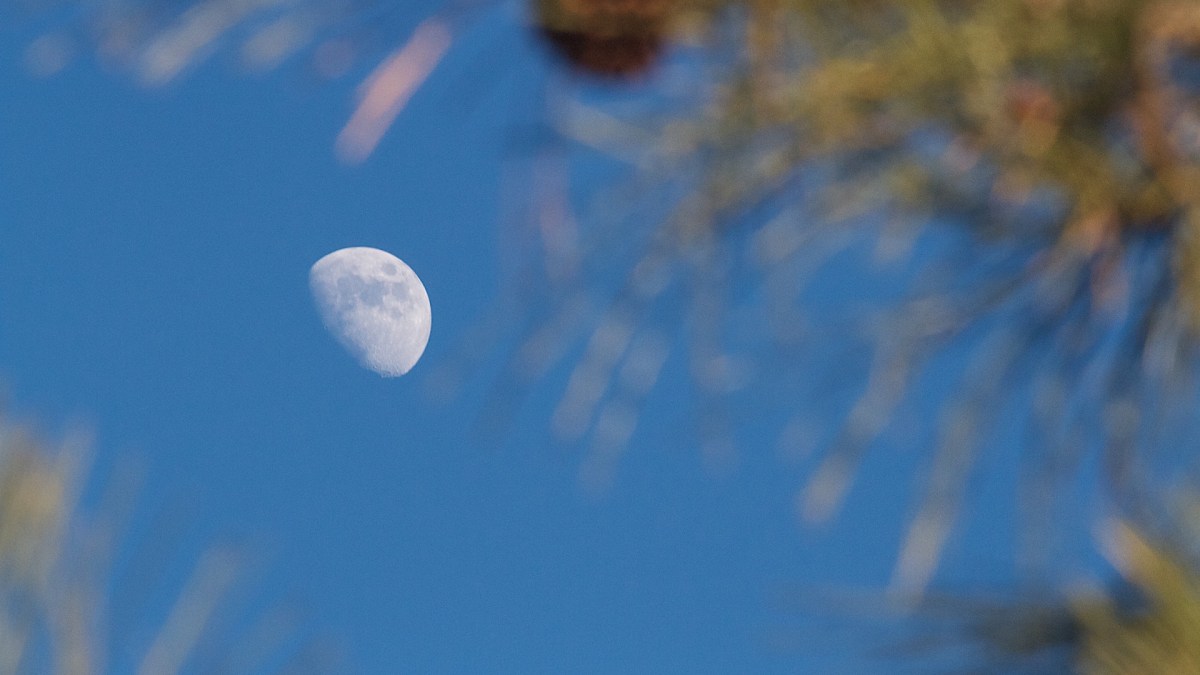 La Lune. // Source : Pxhere/CC0 Domaine public (photo recadrée) La Lune. // Source : Pxhere/CC0 Domaine public (photo recadrée)