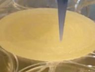 La peau imprimée en 3D. // Source : Capture d'écran YouTube ESA