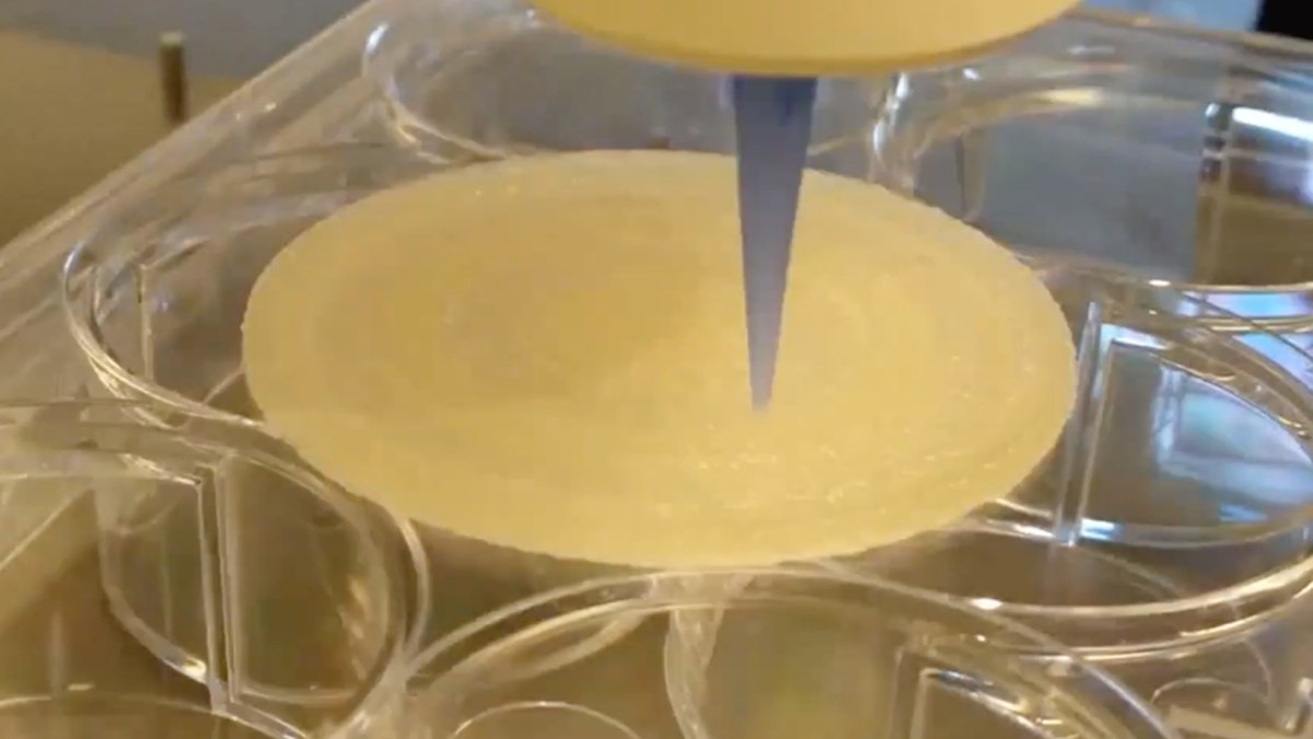 La peau imprimée en 3D. // Source : Capture d'écran YouTube ESA La peau imprimée en 3D. // Source : Capture d'écran YouTube ESA