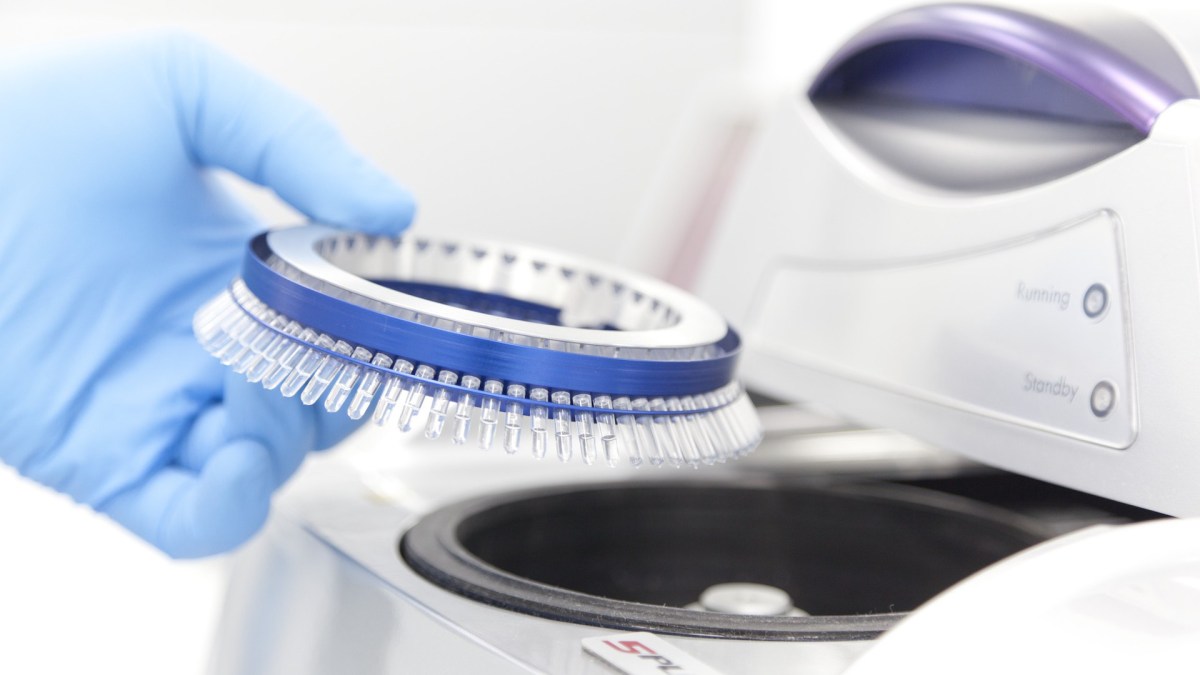 Des tests dans un laboratoire. // Source : Flickr/CC/QIAGEN (photo recadrée) Des tests dans un laboratoire. // Source : Flickr/CC/QIAGEN (photo recadrée)