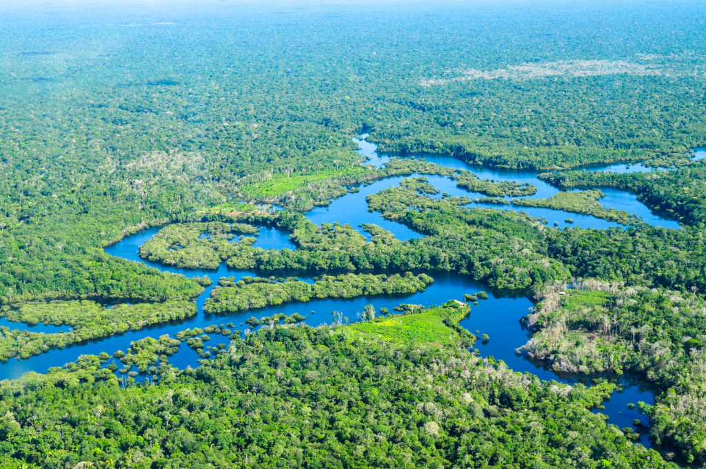 La forêt amazonienne fait 5 millions de km² et abrite un quart des espèces mondiales autant qu'une riche diversité de flore. // Source : Flickr/CC/Neil Palmer-CIAT La forêt amazonienne fait 5 millions de km² et abrite un quart des espèces mondiales autant qu'une riche diversité de flore. // Source : Flickr/CC/Neil Palmer-CIAT