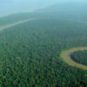 La forêt amazonienne fait 5 millions de km² et abrite un quart des espèces mondiales autant qu'une riche diversité de flore. // Source : Wikimedia Commons/lubasi La forêt amazonienne fait 5 millions de km² et abrite un quart des espèces mondiales autant qu'une riche diversité de flore. // Source : Wikimedia Commons/lubasi