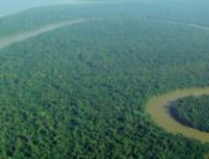 La forêt amazonienne fait 5 millions de km² et abrite un quart des espèces mondiales autant qu'une riche diversité de flore. // Source : Wikimedia Commons/lubasi