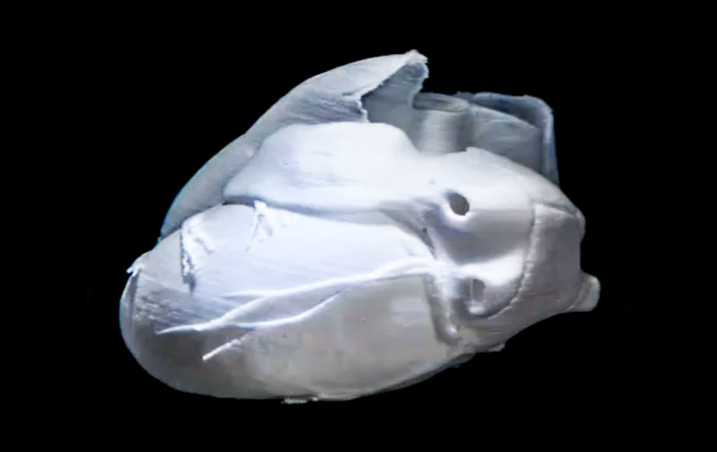 Les chercheurs de l'Université Carnegie-Mellon et de Fluidforms ont construit un coeur par bio-impression 3D. // Source : Université Carnegie-Mellon Les chercheurs de l'Université Carnegie-Mellon et de Fluidforms ont construit un coeur par bio-impression 3D. // Source : Université Carnegie-Mellon