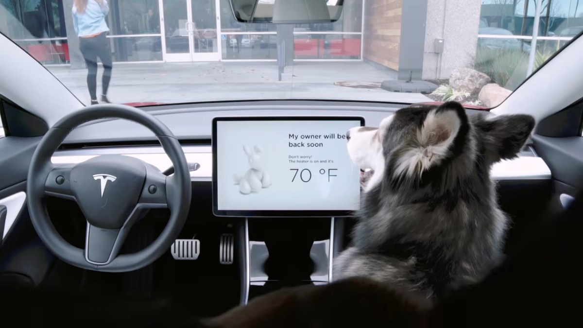 Tesla Tesla