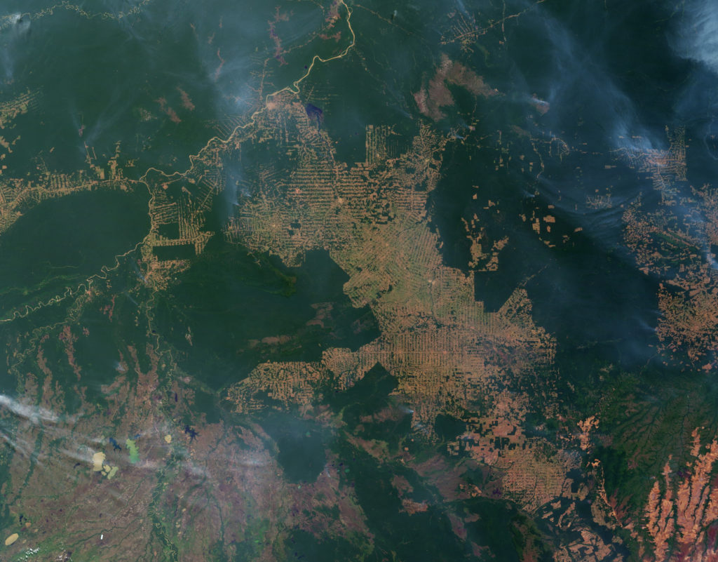 En vert, les zones boisées, et en marron, les zones déforestées. En vert, les zones boisées, et en marron, les zones déforestées.