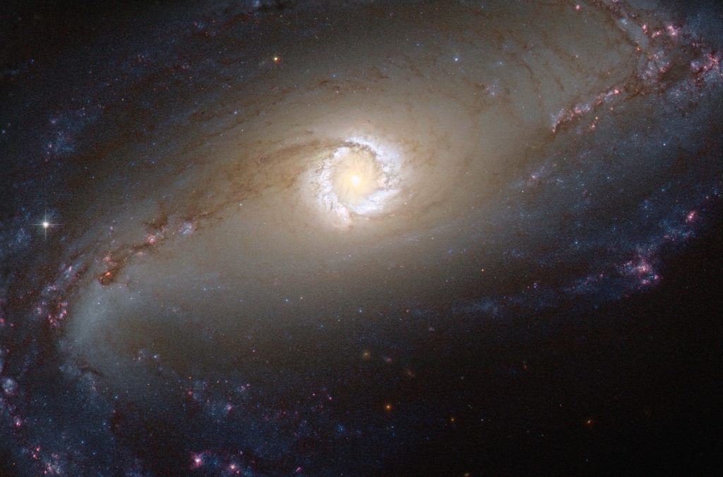 Voici NGC 1097, une galaxie de Seyfert repérée par Hubble. // Source : ESA/Hubble & NASA; Acknowledgement: E. Sturdivant Voici NGC 1097, une galaxie de Seyfert repérée par Hubble. // Source : ESA/Hubble & NASA; Acknowledgement: E. Sturdivant