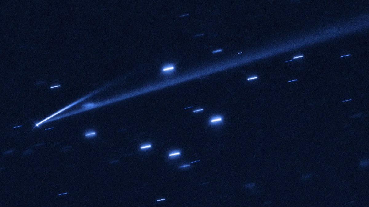 L'astéroïde 6478 Gault. // Source : Wikimedia/CC/NASA, ESA, K. Meech and J. Kleyna (University of Hawaii), O. Hainaut (European Southern Observatory) (photo recadrée) L'astéroïde 6478 Gault. // Source : Wikimedia/CC/NASA, ESA, K. Meech and J. Kleyna (University of Hawaii), O. Hainaut (European Southern Observatory) (photo recadrée)