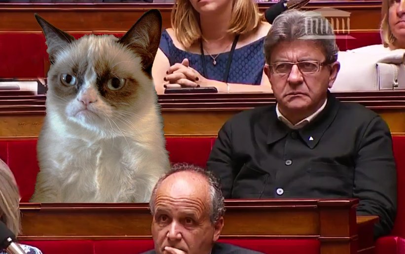 Capture d'écran Twitter