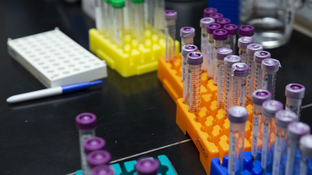 Du matériel dans un laboratoire. // Source : Max Pixel/CC0 Domaine public (photo recadrée)