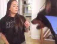 Twitter/shoe0nhead