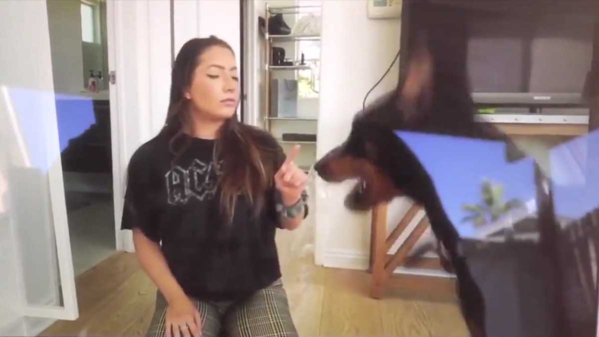 Twitter/shoe0nhead Twitter/shoe0nhead
