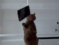Un extrait de la vidéo Apple de 2019 // Source : YouTube/Apple