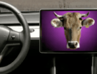 Volant Tesla Model 3 // Source : Tesla