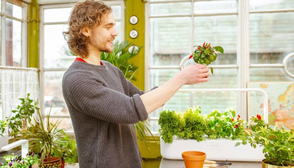 Un potager de chez Click and Grow. // Source : Click and Grow Un potager de chez Click and Grow. // Source : Click and Grow