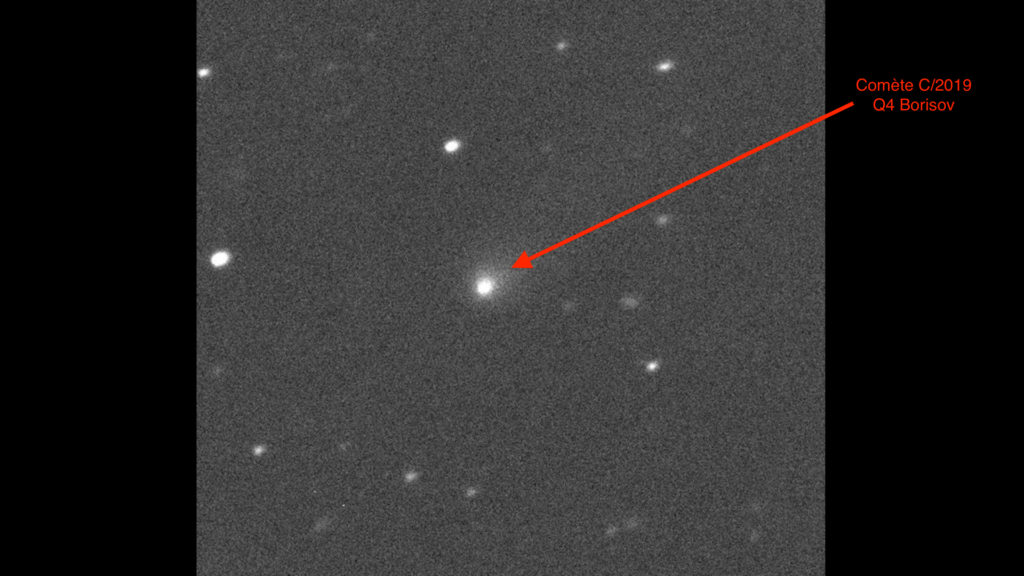 La comète observée le 10 septembre 2019. // Source : Nasa, Canada-France-Hawaii Telescope (image recadrée et annotée) La comète observée le 10 septembre 2019. // Source : Nasa, Canada-France-Hawaii Telescope (image recadrée et annotée)