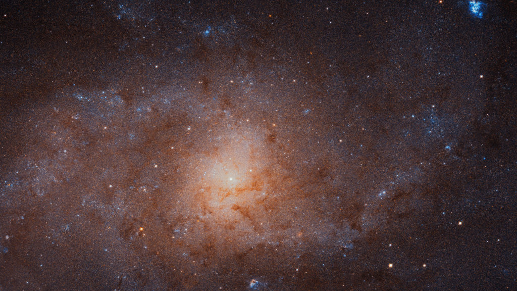 La galaxie du Triangle. // Source : NASA, ESA, and M. Durbin, J. Dalcanton, and B. F. Williams (University of Washington) La galaxie du Triangle. // Source : NASA, ESA, and M. Durbin, J. Dalcanton, and B. F. Williams (University of Washington)