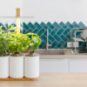 Un potager Lilo de chez Prêt à pousser. // Source : Prêt à pousser Un potager Lilo de chez Prêt à pousser. // Source : Prêt à pousser