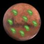 Faudrait-il envoyer des microbes sur Mars ? // Source : Pixabay, Wikimedia/CC/Twitter (photos modifiées, montage Numerama)