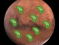 Faudrait-il envoyer des microbes sur Mars ? // Source : Pixabay, Wikimedia/CC/Twitter (photos modifiées, montage Numerama)