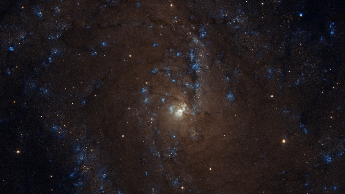 La galaxie NGC 6946. // Source : Flickr/CC/Judy Schmidt (photo recadrée) La galaxie NGC 6946. // Source : Flickr/CC/Judy Schmidt (photo recadrée)