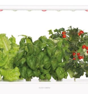 Un potager Click and grow. // Source : Click and grow Un potager Click and grow. // Source : Click and grow