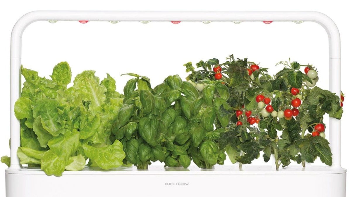 Un potager Click and grow. // Source : Click and grow Un potager Click and grow. // Source : Click and grow