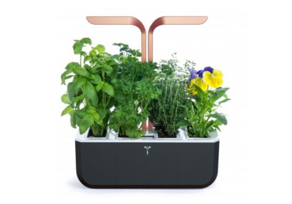Le potager véritable. // Source : Véritable Le potager véritable. // Source : Véritable