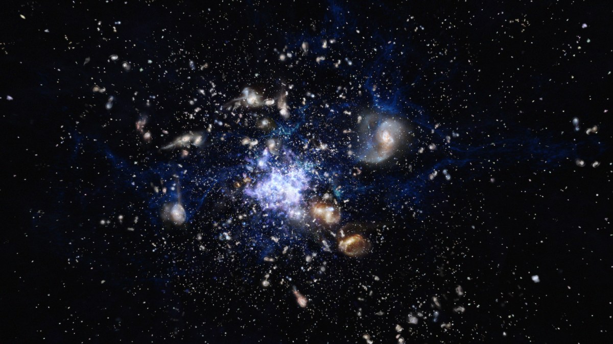 Un amas galactique au sein de l'univers jeune. // Source : ESO/M. Kornmesser (photo recadrée) Un amas galactique au sein de l'univers jeune. // Source : ESO/M. Kornmesser (photo recadrée)