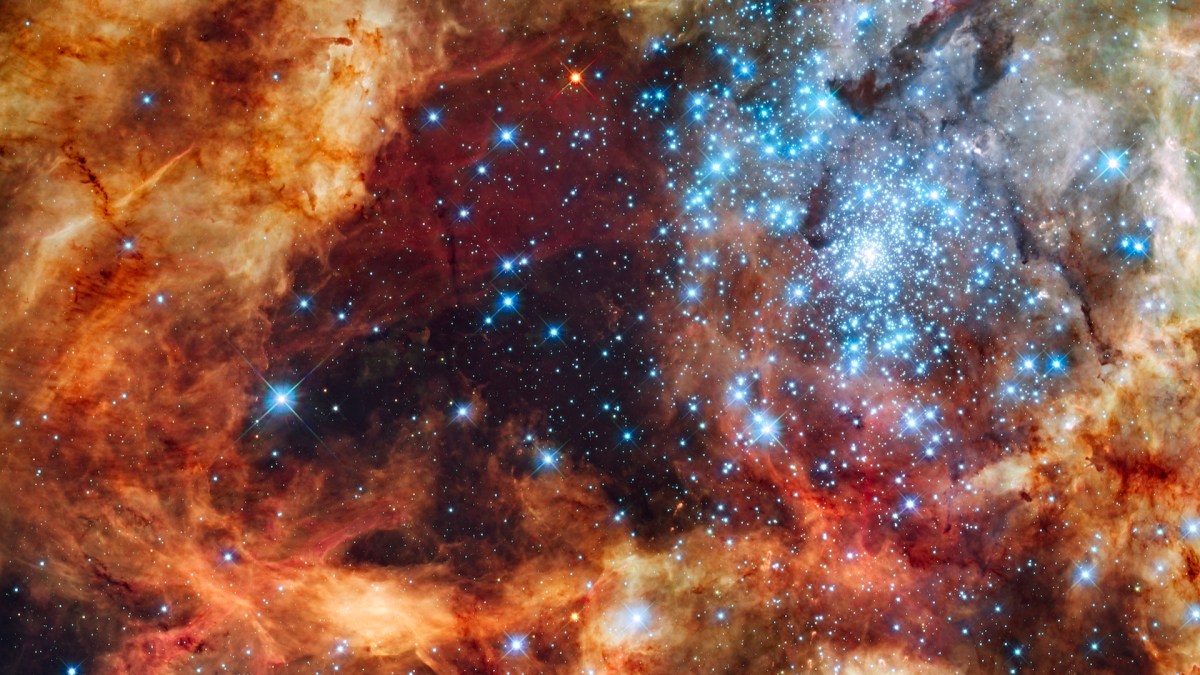 L'amas stellaire R136. // Source : NASA, ESA, F. Paresce (INAF-IASF, Bologna, Italy), R. O'Connell (University of Virginia, Charlottesville), and the Wide Field Camera 3 Science Oversight Committee (photo recadrée) L'amas stellaire R136. // Source : NASA, ESA, F. Paresce (INAF-IASF, Bologna, Italy), R. O'Connell (University of Virginia, Charlottesville), and the Wide Field Camera 3 Science Oversight Committee (photo recadrée)