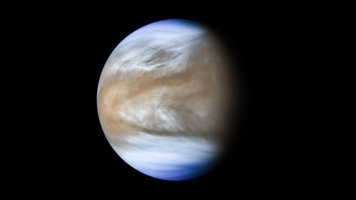 La planète Vénus. // Source : Flickr/CC/Kevin Gill (photo recadrée) La planète Vénus. // Source : Flickr/CC/Kevin Gill (photo recadrée)