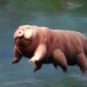 Un tardigrade // Source : iStock/dottedhippo/université de San Diego Un tardigrade // Source : iStock/dottedhippo/université de San Diego