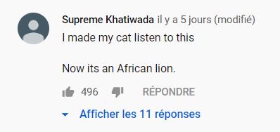 Un commentaire YouTube. // Source : Capture d'écran YouTube Un commentaire YouTube. // Source : Capture d'écran YouTube