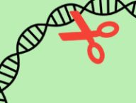 La méthode CRISPR s'apparente à un « ciseau génétique ». // Source : SVG SILH/CC0, Pixabay (montage Numerama)