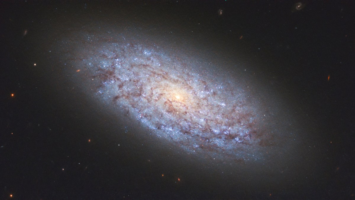 Une galaxie naine. // Source : Flickr/CC/Terry Ballard (photo recadrée) Une galaxie naine. // Source : Flickr/CC/Terry Ballard (photo recadrée)