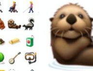 loutre-une
