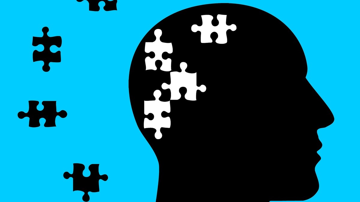 La schizophrénie touche 21 millions de personnes dans le monde. C'est une maladie qui trouve son origine dans le cerveau. // Source : Pixabay La schizophrénie touche 21 millions de personnes dans le monde. C'est une maladie qui trouve son origine dans le cerveau. // Source : Pixabay