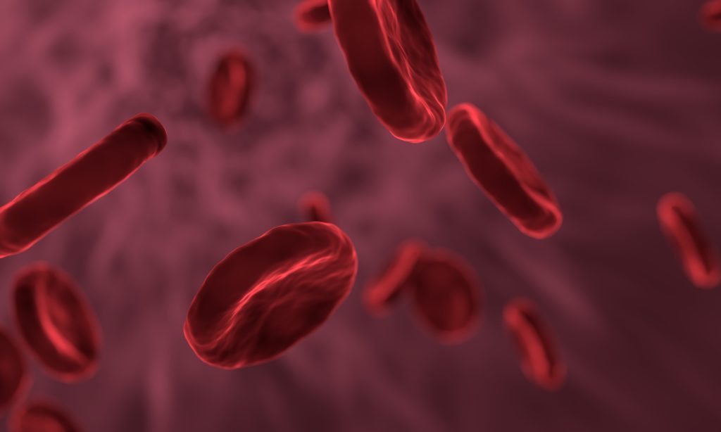 En haute altitude, la réponse physiologique au manque d'oxygène est la production supplémentaire de globules rouges. // Source : Pixabay En haute altitude, la réponse physiologique au manque d'oxygène est la production supplémentaire de globules rouges. // Source : Pixabay